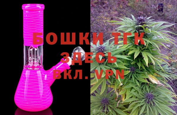 шишки Баксан